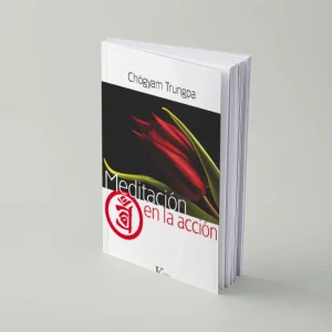 Meditación en la acción