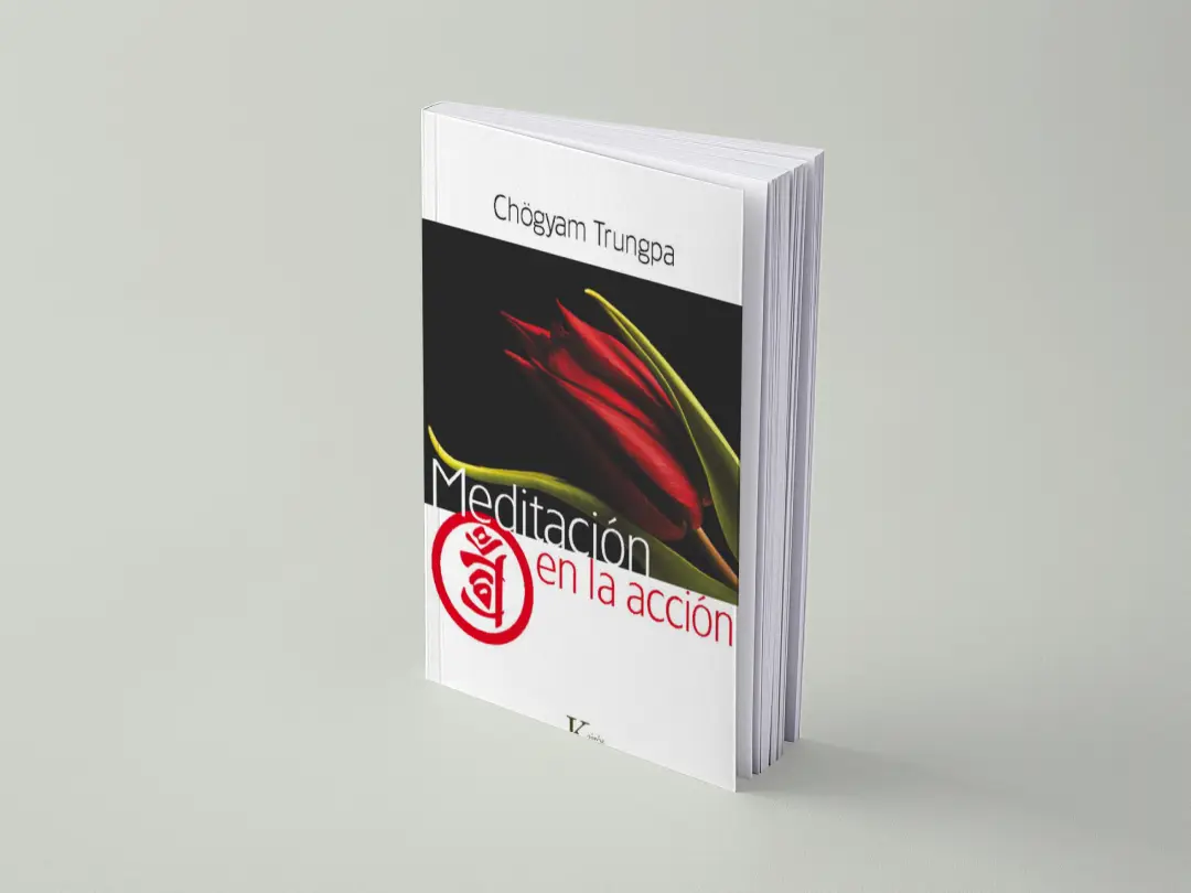 Meditación en la acción